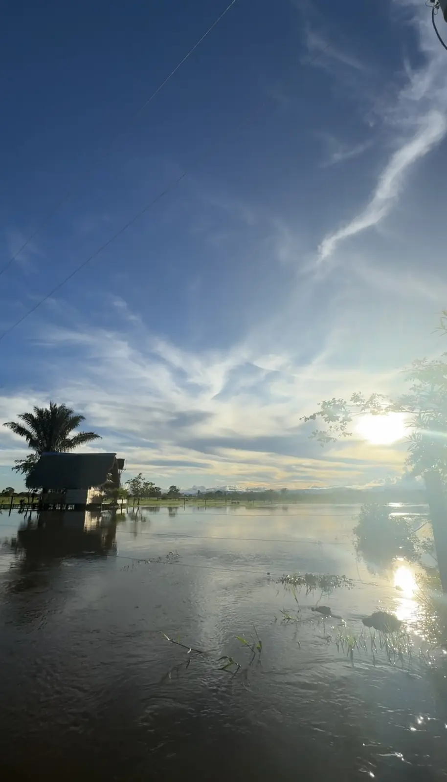 Sabana inundable